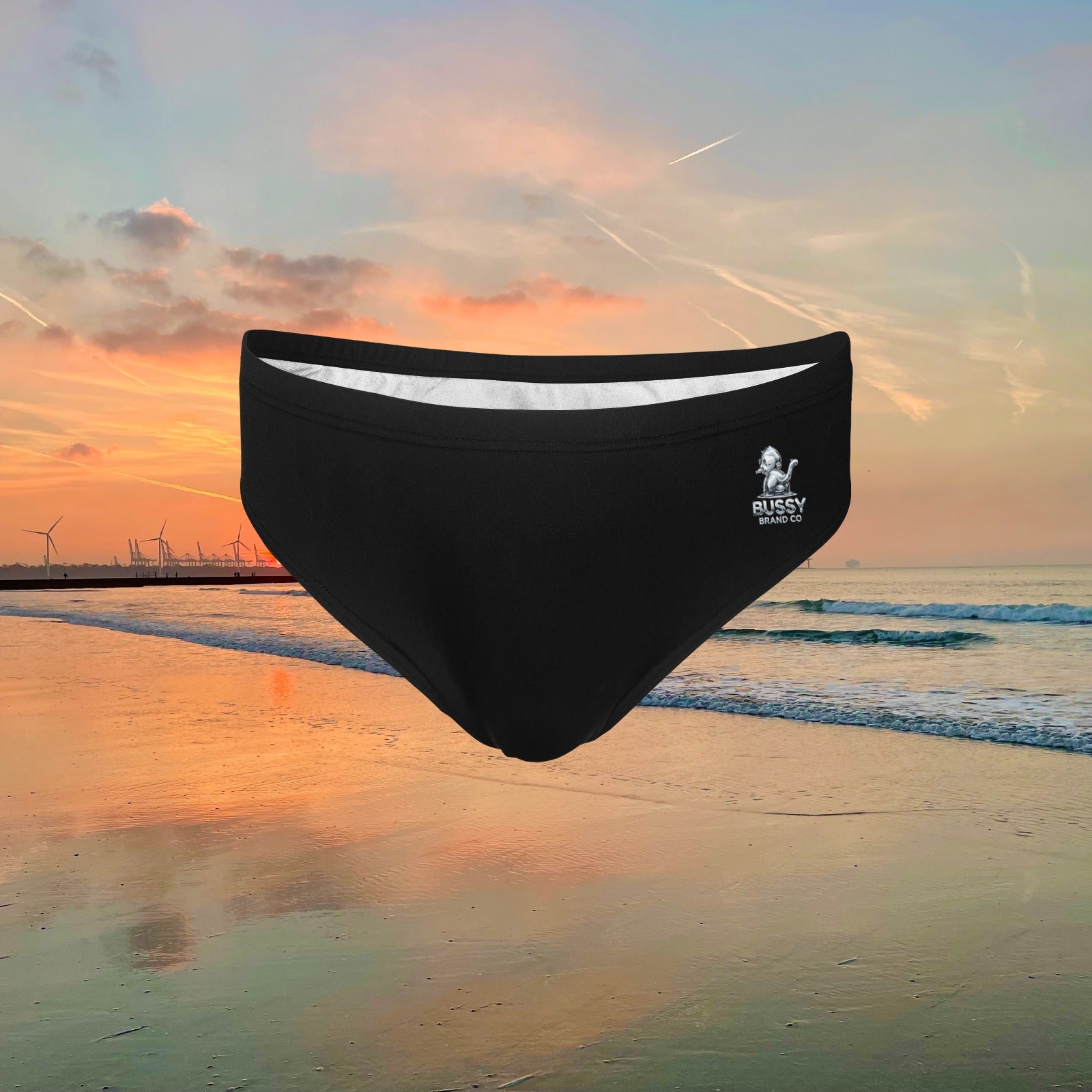 Multi Designs - Men's Swimming Briefs